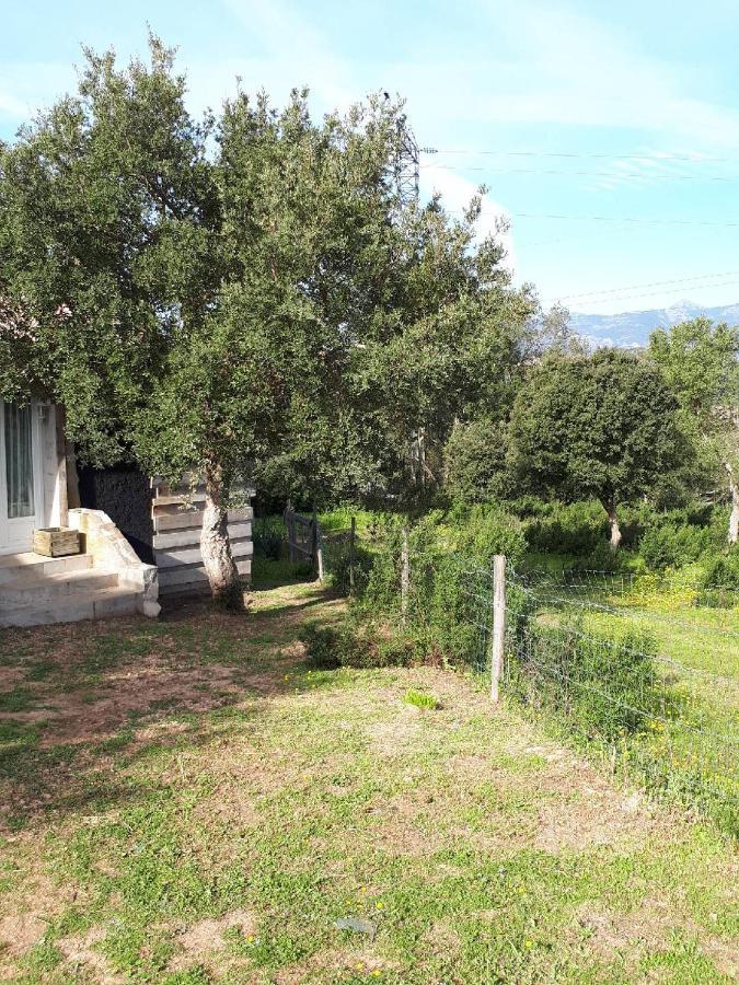 Casa Gattu Porto-Vecchio (Corsica) Exterior foto