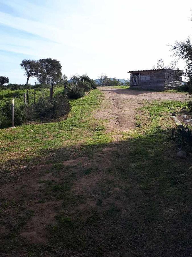 Casa Gattu Porto-Vecchio (Corsica) Exterior foto