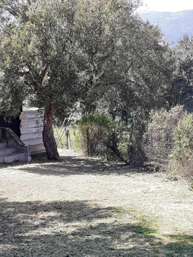 Casa Gattu Porto-Vecchio (Corsica) Exterior foto