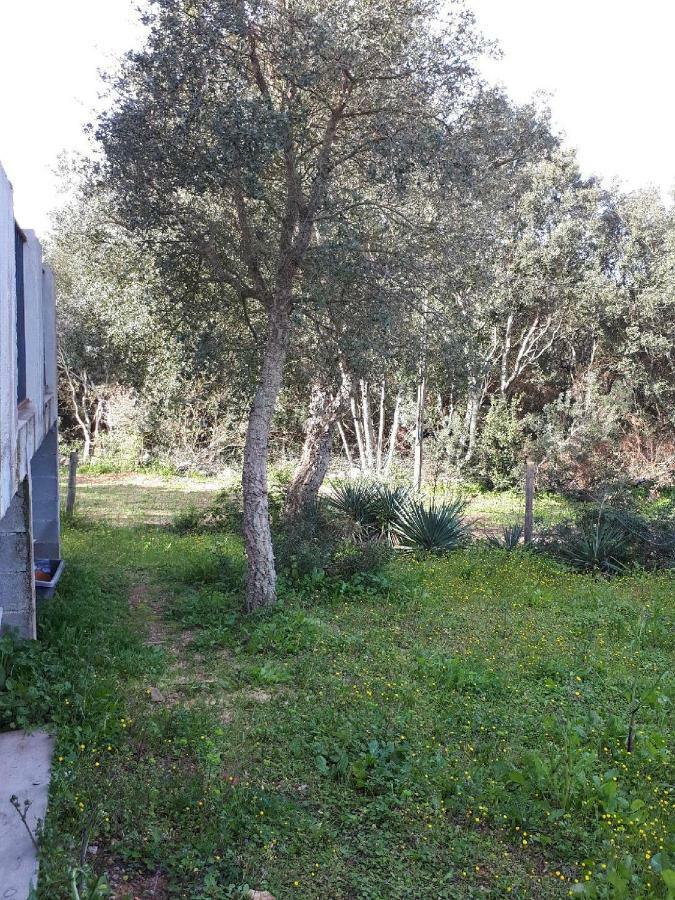 Casa Gattu Porto-Vecchio (Corsica) Exterior foto
