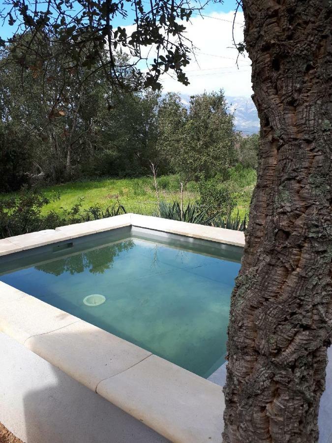 Casa Gattu Porto-Vecchio (Corsica) Exterior foto